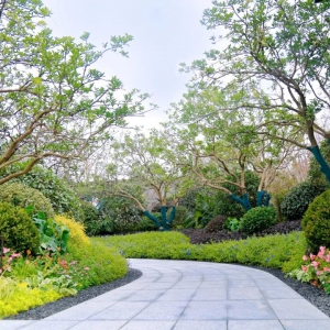 別墅庭院設(shè)計(jì)的后期如何養(yǎng)護(hù)毒蛇乱舞？